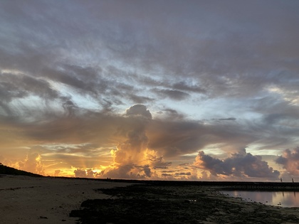 生命素粒子って知ってる？日本ミツバチは生命素粒子の写像かも？なんてね